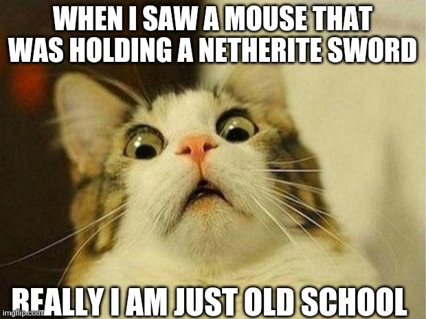 Minecraft upgrade | WHEN I SAW A MOUSE THAT WAS HOLDING A NETHERITE SWORD; REALLY I AM JUST OLD SCHOOL | image tagged in memes,scared cat | made w/ Imgflip meme maker
