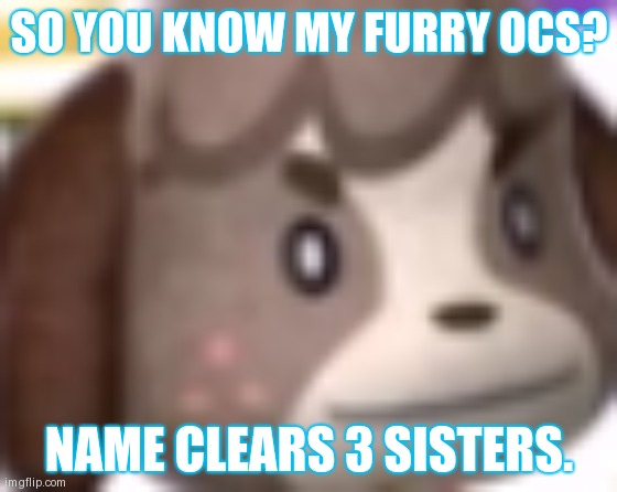 It should be easy | SO YOU KNOW MY FURRY OCS? NAME CLEARS 3 SISTERS. | image tagged in digby wtf | made w/ Imgflip meme maker