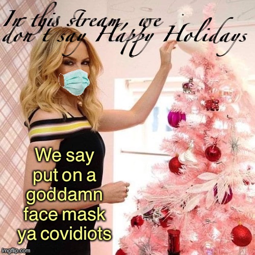 [Kylie makes her Politifake debut] | In this stream, we don’t say Happy Holidays; We say put on a goddamn face mask ya covidiots | image tagged in kylie christmas face mask | made w/ Imgflip meme maker