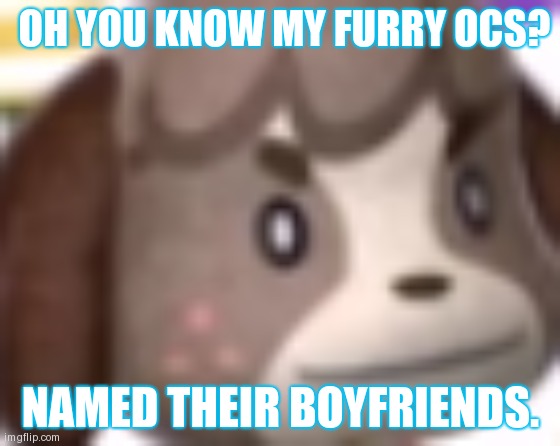 Pretty sure you guys know one at least | OH YOU KNOW MY FURRY OCS? NAMED THEIR BOYFRIENDS. | image tagged in digby wtf | made w/ Imgflip meme maker