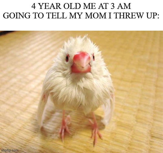 "Mommy i threw up" | 4 YEAR OLD ME AT 3 AM GOING TO TELL MY MOM I THREW UP: | image tagged in soaked zebra finch | made w/ Imgflip meme maker