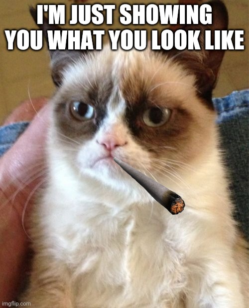 Your Face | I'M JUST SHOWING YOU WHAT YOU LOOK LIKE | image tagged in memes,grumpy cat | made w/ Imgflip meme maker