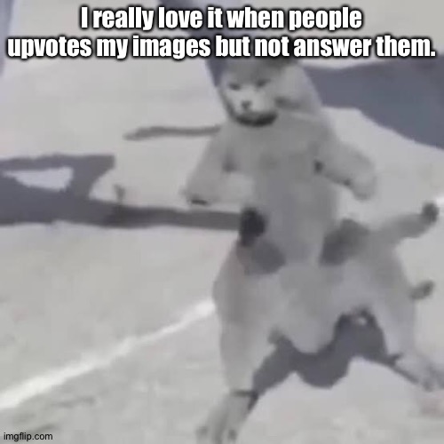 . | I really love it when people upvotes my images but not answer them. | image tagged in cat nae nae | made w/ Imgflip meme maker