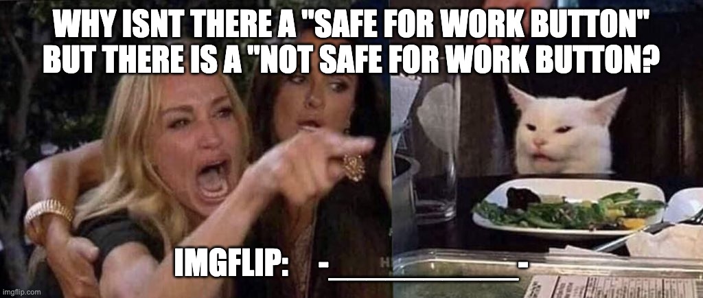 woman yelling at cat | WHY ISNT THERE A "SAFE FOR WORK BUTTON" BUT THERE IS A "NOT SAFE FOR WORK BUTTON? IMGFLIP:     -__________- | image tagged in woman yelling at cat | made w/ Imgflip meme maker