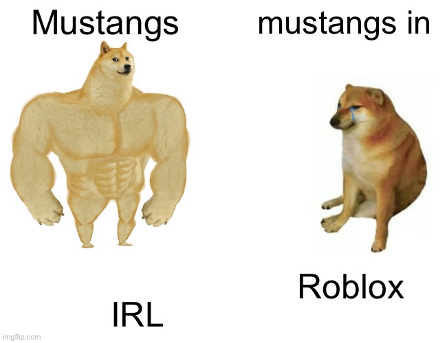 Buff Doge vs. Cheems | Mustangs; mustangs in; Roblox; IRL | image tagged in memes,buff doge vs cheems | made w/ Imgflip meme maker