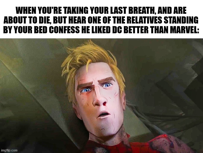 You're not the only one that's going to die that night. | WHEN YOU'RE TAKING YOUR LAST BREATH, AND ARE ABOUT TO DIE, BUT HEAR ONE OF THE RELATIVES STANDING BY YOUR BED CONFESS HE LIKED DC BETTER THAN MARVEL: | image tagged in marvel,dc,spiderman peter parker,spider-verse meme | made w/ Imgflip meme maker