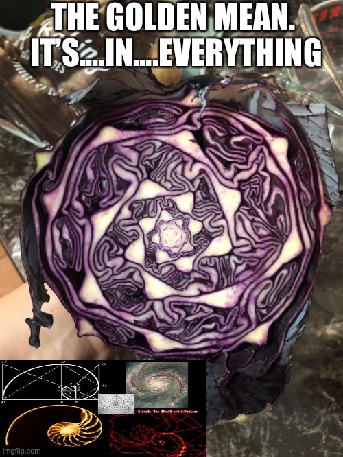 Golden |  THE GOLDEN MEAN. 
IT’S....IN....EVERYTHING | image tagged in the golden ratio | made w/ Imgflip meme maker
