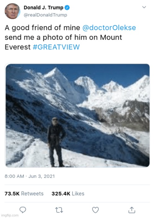 donald trump | image tagged in great view,mount everest | made w/ Imgflip meme maker