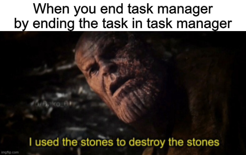 I used the stones to destroy the stones |  When you end task manager by ending the task in task manager | image tagged in i used the stones to destroy the stones | made w/ Imgflip meme maker