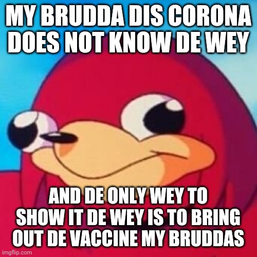 Ugandan Knuckles | MY BRUDDA DIS CORONA DOES NOT KNOW DE WEY; AND DE ONLY WEY TO SHOW IT DE WEY IS TO BRING OUT DE VACCINE MY BRUDDAS | image tagged in ugandan knuckles,coronavirus meme,2020 sucks,vaccine,memes,do you know da wae | made w/ Imgflip meme maker
