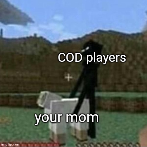 COD players; your mom | image tagged in call of duty,memes,minecraft | made w/ Imgflip meme maker