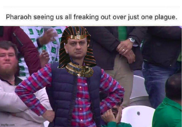 "Oh, for the love of Amon-Ra..." | image tagged in plague,covid,coronavirus,disappointed,pharaoh | made w/ Imgflip meme maker