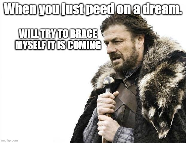 The one that makes it in time is Flash or somewhat. | When you just peed on a dream. WILL TRY TO BRACE MYSELF IT IS COMING | image tagged in memes,brace yourselves x is coming | made w/ Imgflip meme maker