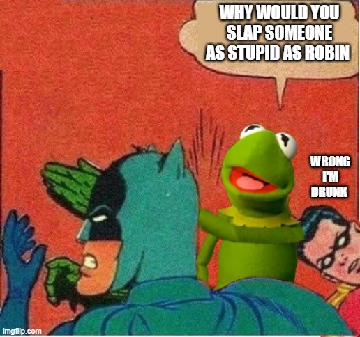 stupid robin | WHY WOULD YOU SLAP SOMEONE AS STUPID AS ROBIN; WRONG I'M DRUNK | image tagged in kermit saving robin,kermit the frog,batman slapping robin | made w/ Imgflip meme maker