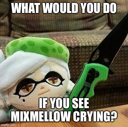 Marie plush with a knife | WHAT WOULD YOU DO; IF YOU SEE MIXMELLOW CRYING? | image tagged in marie plush with a knife | made w/ Imgflip meme maker