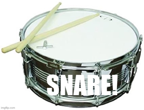 Snare with snare | image tagged in snare snare,drums,drummer,trolling the troll,trolling | made w/ Imgflip meme maker