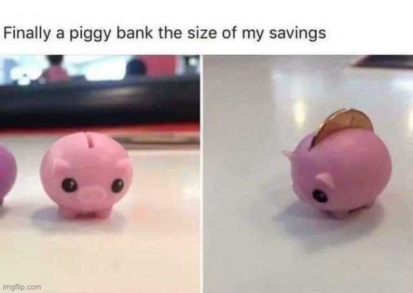 thank god i got enough money to buy this piggy bank | image tagged in banks | made w/ Imgflip meme maker