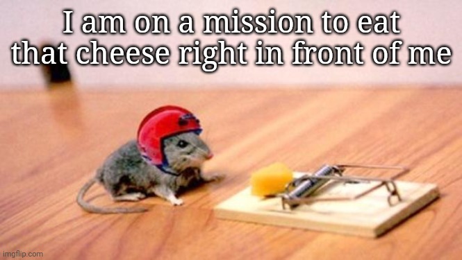 Smrt little mouse | I am on a mission to eat that cheese right in front of me | image tagged in mouse trap | made w/ Imgflip meme maker