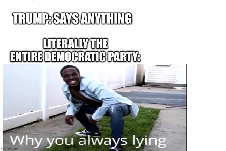 TRUMP: SAYS ANYTHING; LITERALLY THE ENTIRE DEMOCRATIC PARTY: | image tagged in why you always lying | made w/ Imgflip meme maker
