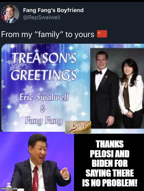 Treasons Greetings From Fang Fang's Boyfriend! | THANKS PELOSI AND BIDEN FOR SAYING THERE IS NO PROBLEM! | image tagged in treason,traitor,stupid liberals,biden | made w/ Imgflip meme maker