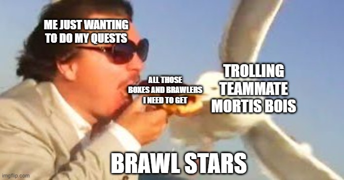 swiping seagull | ME JUST WANTING TO DO MY QUESTS; TROLLING TEAMMATE MORTIS BOIS; ALL THOSE BOXES AND BRAWLERS I NEED TO GET; BRAWL STARS | image tagged in swiping seagull | made w/ Imgflip meme maker