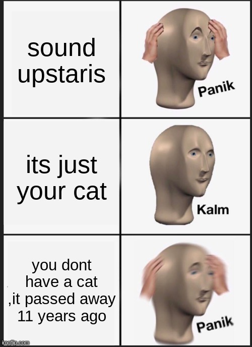 Panik Kalm Panik | sound upstaris; its just your cat; you dont have a cat ,it passed away 11 years ago | image tagged in memes,panik kalm panik | made w/ Imgflip meme maker