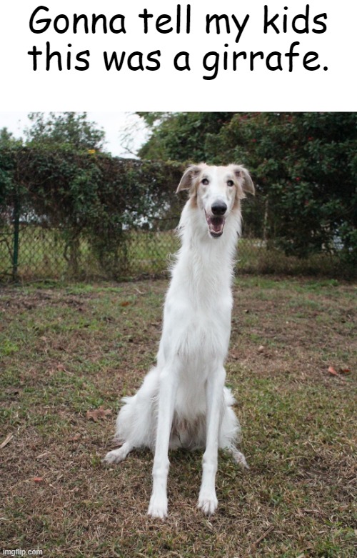 Long Necked Dog |  Gonna tell my kids
this was a girrafe. | image tagged in dog,doggo,barking,wholesome,girrafe | made w/ Imgflip meme maker