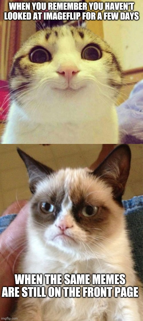 WHEN YOU REMEMBER YOU HAVEN'T LOOKED AT IMAGEFLIP FOR A FEW DAYS; WHEN THE SAME MEMES ARE STILL ON THE FRONT PAGE | image tagged in memes,smiling cat,grumpy cat | made w/ Imgflip meme maker