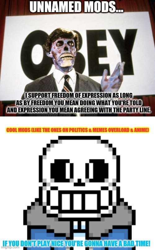 COOL MODS (LIKE THE ONES ON POLITICS & MEMES OVERLOAD & ANIME) UNNAMED MODS... I SUPPORT FREEDOM OF EXPRESSION AS LONG AS BY FREEDOM YOU MEA | made w/ Imgflip meme maker