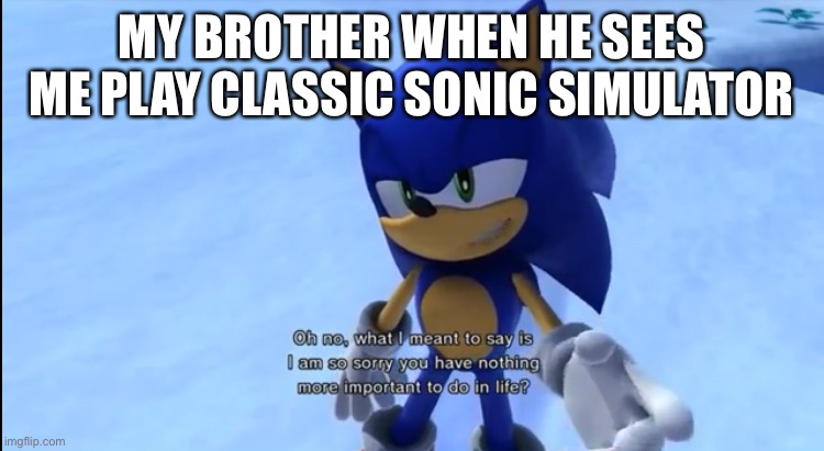 i am so sorry you have nothing more important to do in life | MY BROTHER WHEN HE SEES ME PLAY CLASSIC SONIC SIMULATOR | image tagged in i am so sorry you have nothing more important to do in life | made w/ Imgflip meme maker