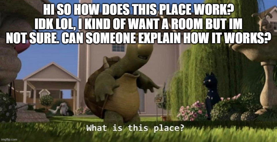 XD idk | HI SO HOW DOES THIS PLACE WORK? IDK LOL, I KIND OF WANT A ROOM BUT IM NOT SURE. CAN SOMEONE EXPLAIN HOW IT WORKS? | image tagged in what is this place | made w/ Imgflip meme maker