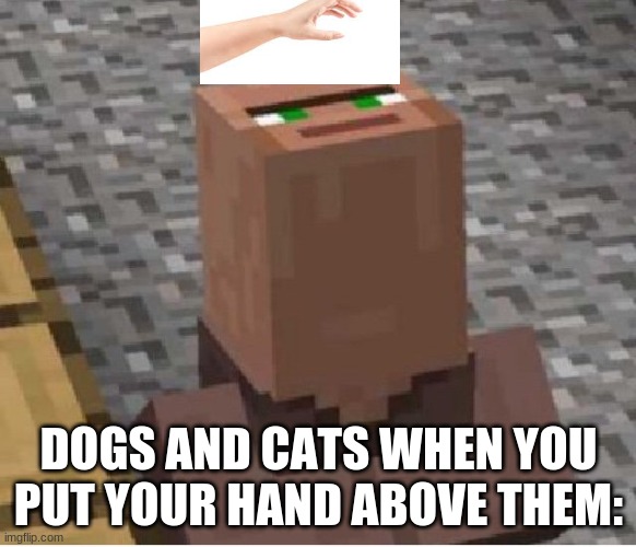 Minecraft Villager Looking Up | DOGS AND CATS WHEN YOU PUT YOUR HAND ABOVE THEM: | image tagged in minecraft villager looking up | made w/ Imgflip meme maker