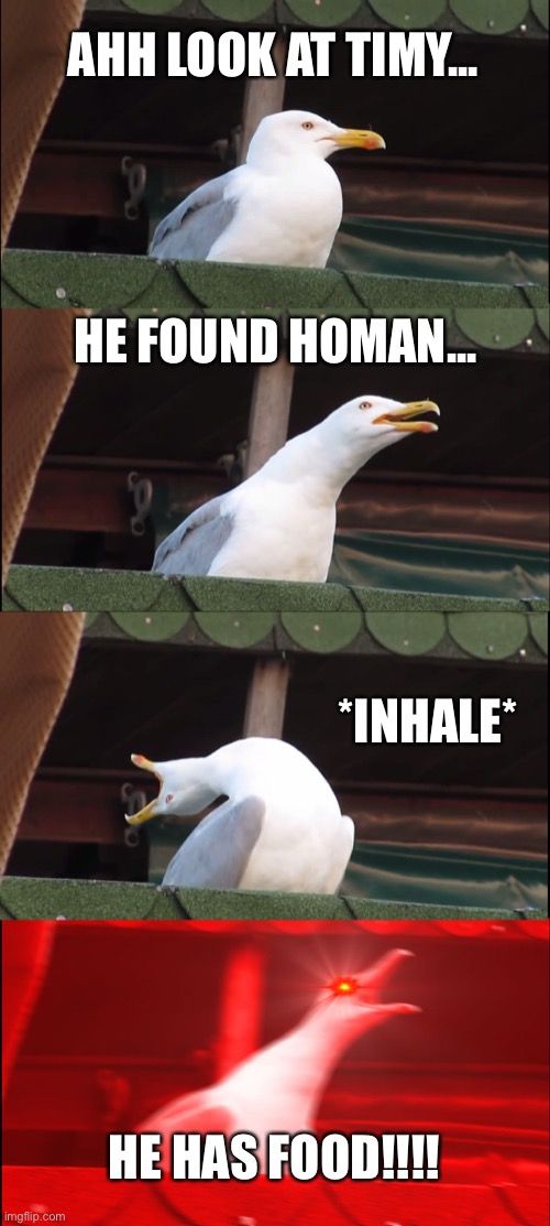 Bird need food | AHH LOOK AT TIMY... HE FOUND HOMAN... *INHALE*; HE HAS FOOD!!!! | image tagged in memes,inhaling seagull,food | made w/ Imgflip meme maker