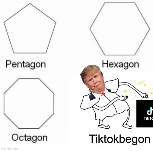 My Favorite Shape! |  Tiktokbegon | image tagged in memes,pentagon hexagon octagon,donald trump,tiktok,ban,social media | made w/ Imgflip meme maker