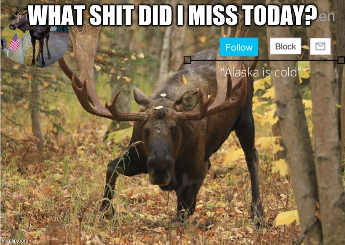 WHAT SHIT DID I MISS TODAY? | made w/ Imgflip meme maker