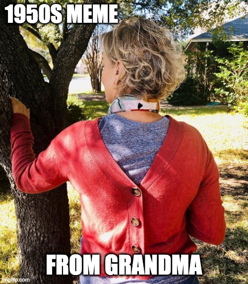 1950S MEME FROM GRANDMA | made w/ Imgflip meme maker