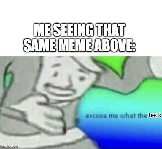 ME SEEING THAT SAME MEME ABOVE: heck | image tagged in excuse me wtf blank template | made w/ Imgflip meme maker