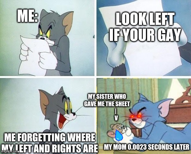 Me when i was 10 | ME:; LOOK LEFT IF YOUR GAY; MY SISTER WHO GAVE ME THE SHEET
                |
                 V; ME FORGETTING WHERE MY LEFT AND RIGHTS ARE; MY MOM 0.0023 SECONDS LATER | image tagged in tom and jerry custard pie | made w/ Imgflip meme maker