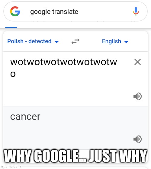 Google translate |  WHY GOOGLE... JUST WHY | image tagged in google translate,oh god why | made w/ Imgflip meme maker