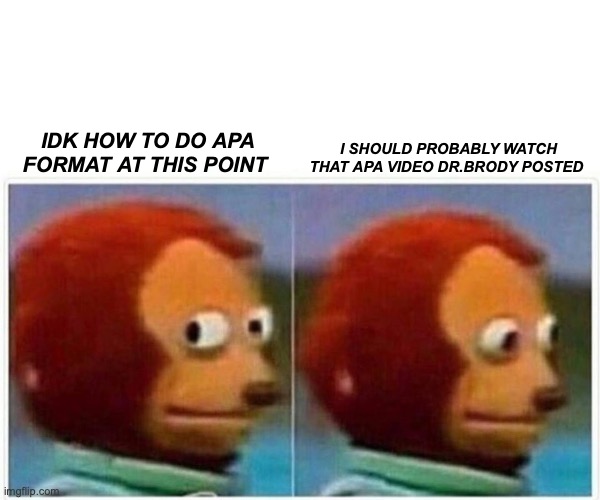 Monkey Puppet Meme | IDK HOW TO DO APA FORMAT AT THIS POINT; I SHOULD PROBABLY WATCH THAT APA VIDEO DR.BRODY POSTED | image tagged in memes,monkey puppet | made w/ Imgflip meme maker