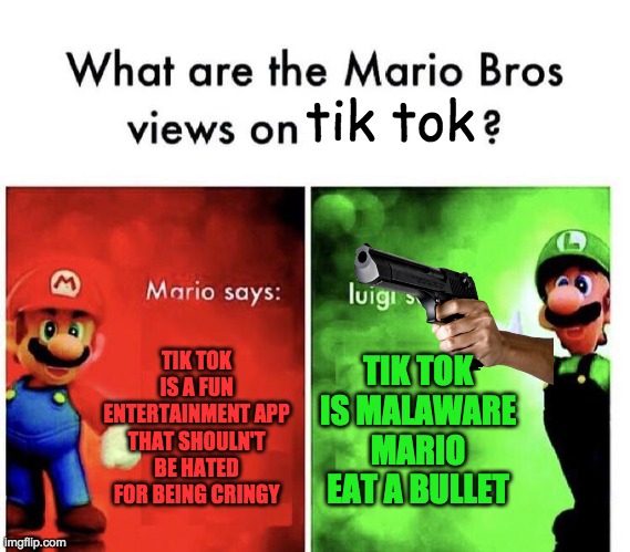 Mario Bros Views | tik tok; TIK TOK IS A FUN ENTERTAINMENT APP THAT SHOULN'T BE HATED FOR BEING CRINGY; TIK TOK IS MALAWARE MARIO EAT A BULLET | image tagged in mario bros views | made w/ Imgflip meme maker