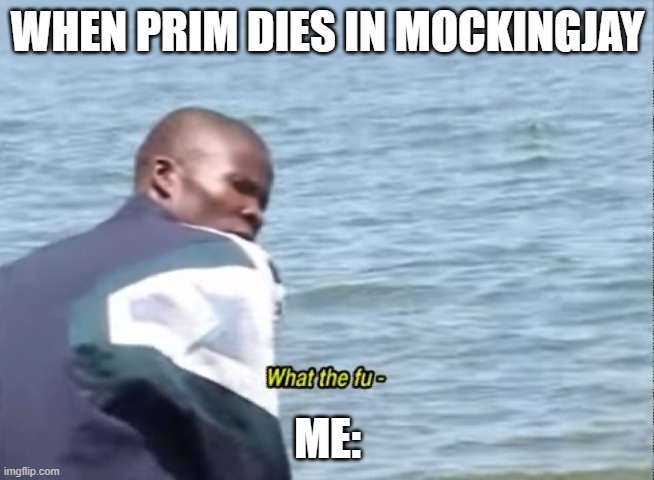 What the fu- | WHEN PRIM DIES IN MOCKINGJAY; ME: | image tagged in what the fu- | made w/ Imgflip meme maker