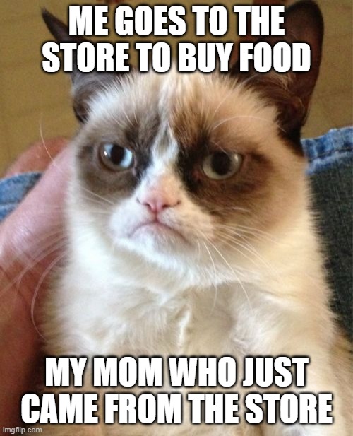 Grumpy Cat | ME GOES TO THE STORE TO BUY FOOD; MY MOM WHO JUST CAME FROM THE STORE | image tagged in memes,grumpy cat | made w/ Imgflip meme maker