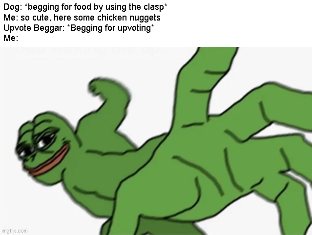 Punch that upvote beggar | Dog: *begging for food by using the clasp*
Me: so cute, here some chicken nuggets
Upvote Beggar: *Begging for upvoting*
Me: | image tagged in pepe punch | made w/ Imgflip meme maker