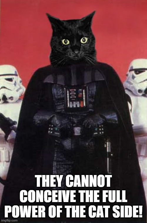Darth cat #1 | THEY CANNOT CONCEIVE THE FULL POWER OF THE CAT SIDE! | image tagged in darth cat 1 | made w/ Imgflip meme maker