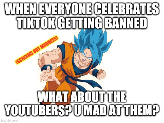 TIKTOK GET BANNED? Y U NO DIS? | WHEN EVERYONE CELEBRATES TIKTOK GETTING BANNED; (SCREAMS OUT MADNESS); WHAT ABOUT THE YOUTUBERS? U MAD AT THEM? | image tagged in blank white template,memes overload | made w/ Imgflip meme maker