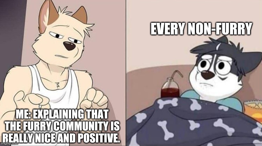  EVERY NON-FURRY; ME: EXPLAINING THAT THE FURRY COMMUNITY IS REALLY NICE AND POSITIVE. | image tagged in custom template,furry | made w/ Imgflip meme maker