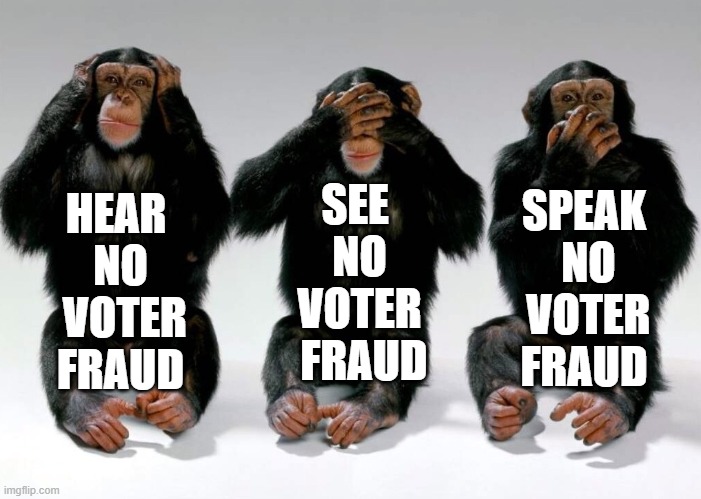 No voter fraud here | SEE 
NO
VOTER
 FRAUD; HEAR 
NO
 VOTER
FRAUD; SPEAK
 NO
 VOTER
FRAUD | image tagged in 2020 elections | made w/ Imgflip meme maker