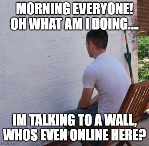 b o r e d | MORNING EVERYONE! OH WHAT AM I DOING.... IM TALKING TO A WALL, WHOS EVEN ONLINE HERE? | image tagged in bored | made w/ Imgflip meme maker