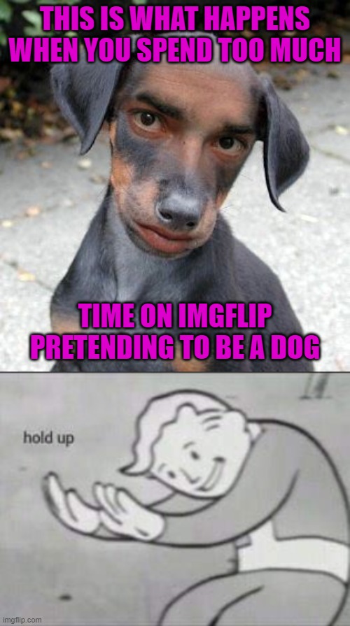 The day Raydog became a "TRUE" Imgflipper!!! | THIS IS WHAT HAPPENS WHEN YOU SPEND TOO MUCH; TIME ON IMGFLIP PRETENDING TO BE A DOG | image tagged in fallout hold up,memes,dogs,dog man,funny,true imgflipper | made w/ Imgflip meme maker